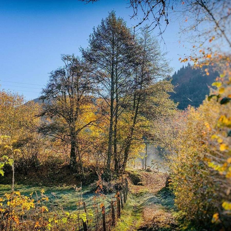 Moulin Des Borderies Bed & Breakfast Singles Luaran gambar